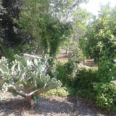Aparthotel Tenuta La Spezia Carpignano Salentino